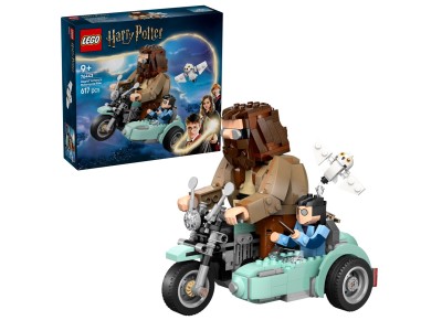 LEGO HARRY POTTER 76443