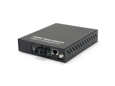 LevelOne RJ45 to SC Managed Fast
