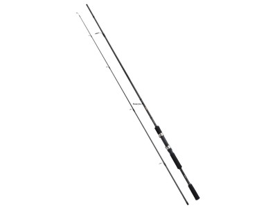 Shimano FX XT Spinning 2,40m