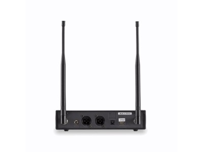 Soundsation WF-D290HP MKII-A2 - podwójny system