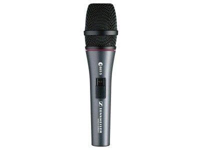 Sennheiser E865-S - supercardioid condenser vocal