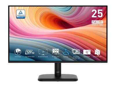 MSI PRO MP251L E2 computer monitor