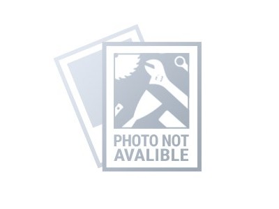 Graphite 59G888 power universal cutter