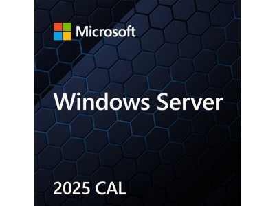 Microsoft Windows Server CAL 2025 Client