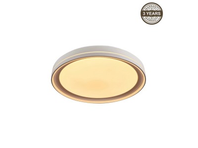 Ceiling Lamp LED B2361-1L-R 49CM 45W