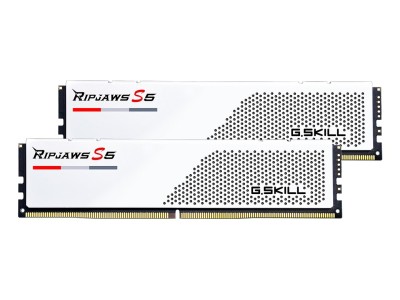 G.Skill F5-6000J3036F24GX2-RS5W memory module 48