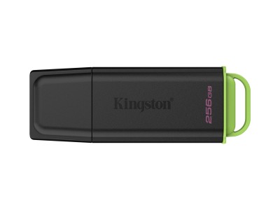 Kingston Technology DataTraveler 256GB Portable USB