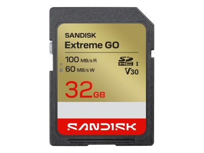 SanDisk Extreme GO 32 GB SDHC