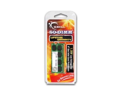 G.Skill 8GB DDR3-1600 memory module