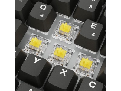 Sharkoon SGK50 S3 keyboard Gaming USB