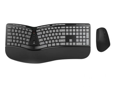 Conceptronic ERGO Wireless Ergonomic Keyboard &