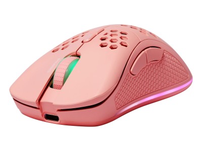 Deltaco Gaming GAM-120-P mouse Right-hand RF