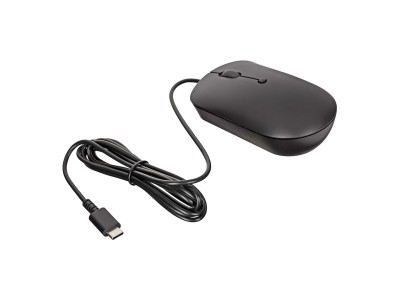 Lenovo GY51D20875 mouse Office Ambidextrous USB