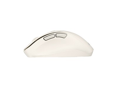ASUS MD105 /MK-WH mouse Universal Right-hand