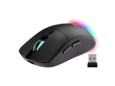 Wireless 2-in-1 Mouse (BT/RF) SILENT &