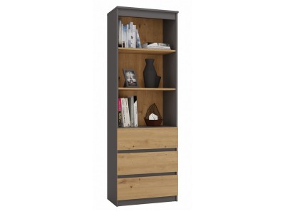 Topeshop RS-60 ANT/ART KPL office bookcase