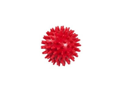 PILO-3007 REHAFUND rehabilitation ball with spikes