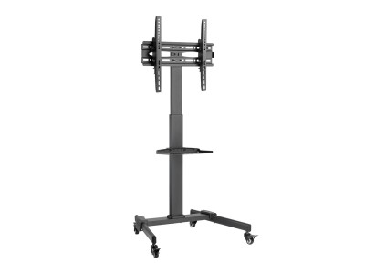 Mobile TV Mount - Stand with
