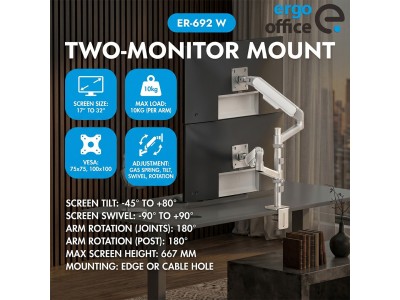 Ergo Office Mount/Hanger for 2 Monitors