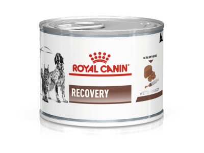 ROYAL CANIN Recovery - Wet dog