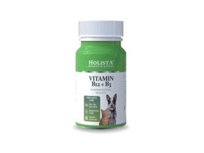 HOLISTA Vitamin B12 + B3 -