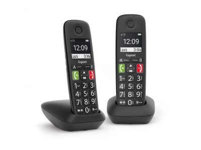 Gigaset E290 Duo - Cordless DECT