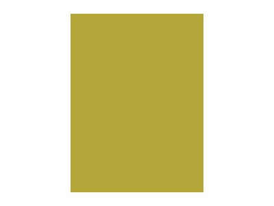 Diegs Madeira, viskoze,1350, laima zaļš