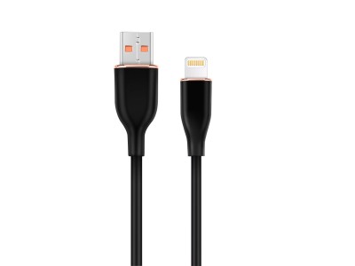 CABLE LIGHTNING TO USB2 1.5M/CC-USB2S-AM8PM-1