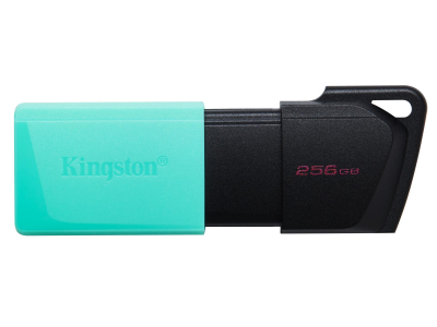 MEMORY DRIVE FLASH USB3.2/256GB DTXM/256GB