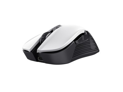 MOUSE USB OPTICAL WRL YBAR/GTX923W 24889