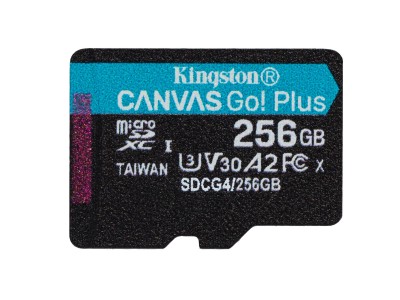 MEMORY MICRO SDXC 256GB UHS-I/1P SDCG4/256GBSP
