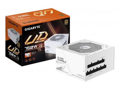 Power Supply|GIGABYTE|UD750GM PG5 ICE|ATX 3.1|750