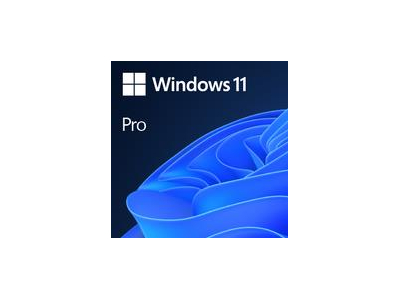 Software|MICROSOFT|Win 11 Pro 64Bit Eng Intl