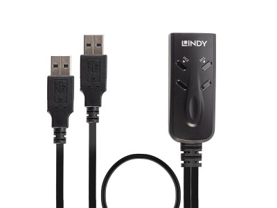 Lindy 2 Port USB KM Switch