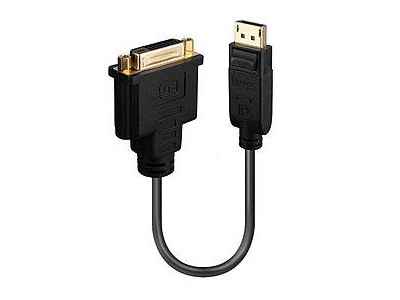 LINDY Displayport auf DVI-D Adapterkabel 0