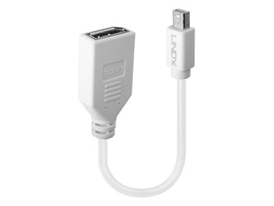LINDY Mini-DisplayPort an Displayport Adapterkabel M/F