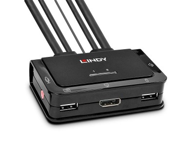 LINDY 2 Port DisplayPort 1.2
