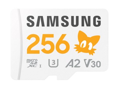 SD MicroSD Card 256GB Samsung Sonic