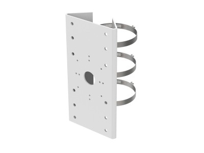 LevelOne CAS-7303 - Befestigungs-Kit für Kamerakuppel
