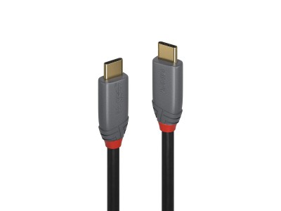 Lindy 1.5m USB 3.2