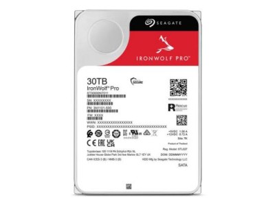 IronWolf Pro 30 TB, Festplatte