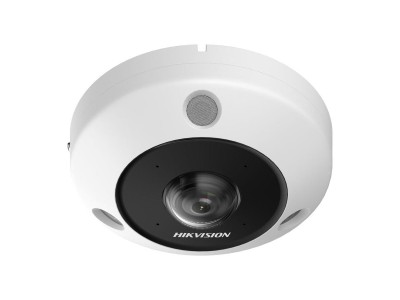 Hikvision 12MP Fisheye Camera DS-2CD63C5G1-IVS