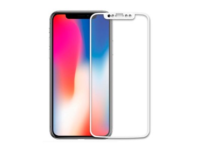 Evelatus Apple iPhone X 2.5D
