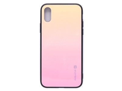 Evelatus Apple iPhone X/Xs Gradient Glass