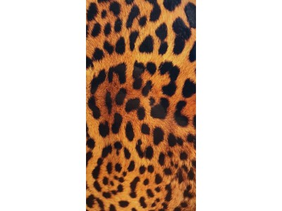 Evelatus Universal Leopard Colorful Film for