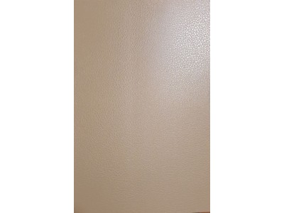 Evelatus Universal Leather Film for Screen
