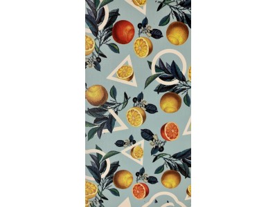 Evelatus Universal Lemon Colorful Film for