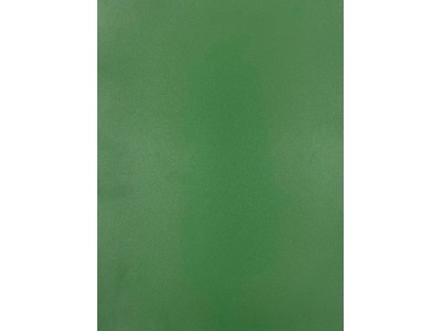 Evelatus Universal Universal Color Shinning A3