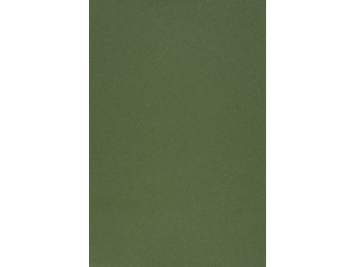 Evelatus Universal Universal Color Shinning Film