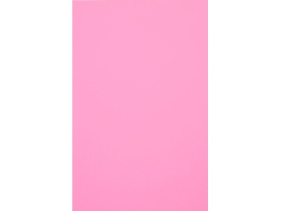 Evelatus Universal Color Shinning Film for